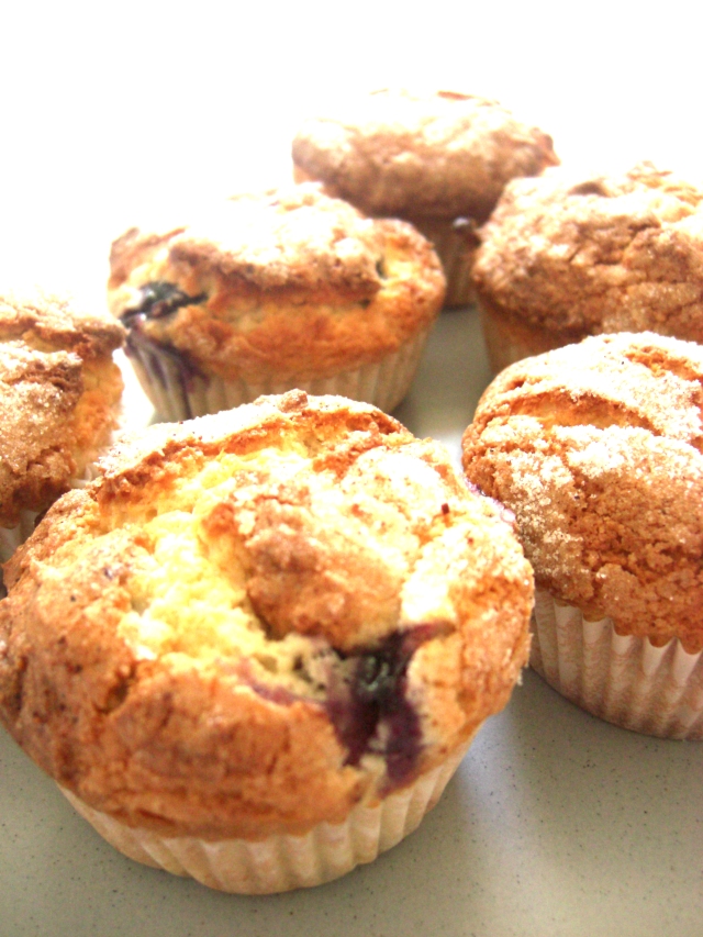 Blueberry Breakfast Muffins